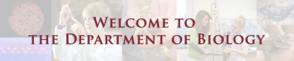 Biology-Banner-Redux Welcome to the Department of Biology