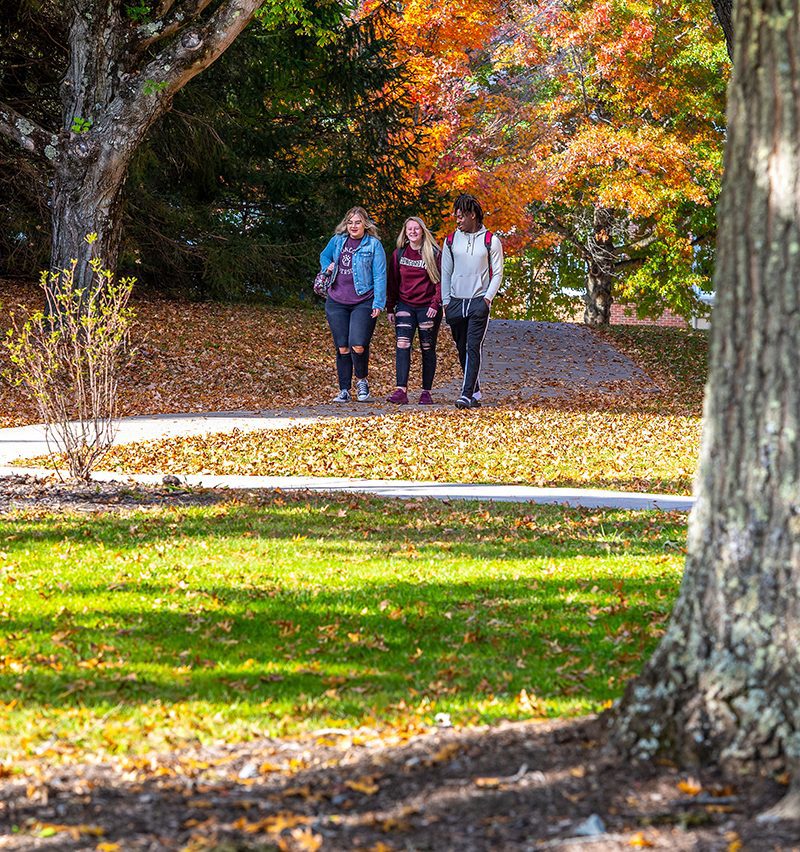 A group of three students walking around Concord University's campus