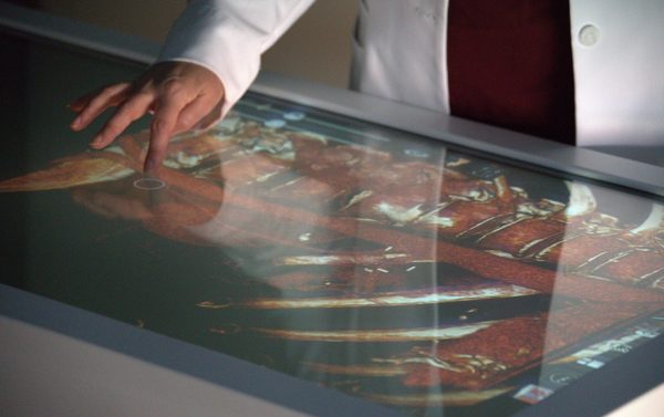 A close-up of the Anatomage table in use, demonstrating the 360-degree viewing capabilities.