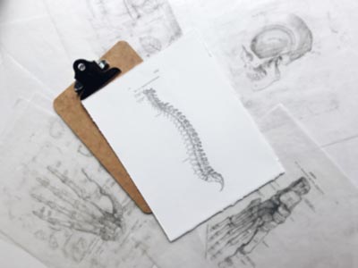 A clipboard with a diagram of the human spine on it