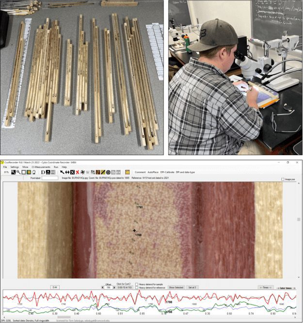 Tree core samples and analyses. Clockwise from top left: Mounted and sanded tree cores; visually crossdating a tree core sample under magnification; and a screen image of annual ring-width measurements in CooRecorder software (© ALEXIS FOSTER; THOMAS SALADYGA [screen image]).