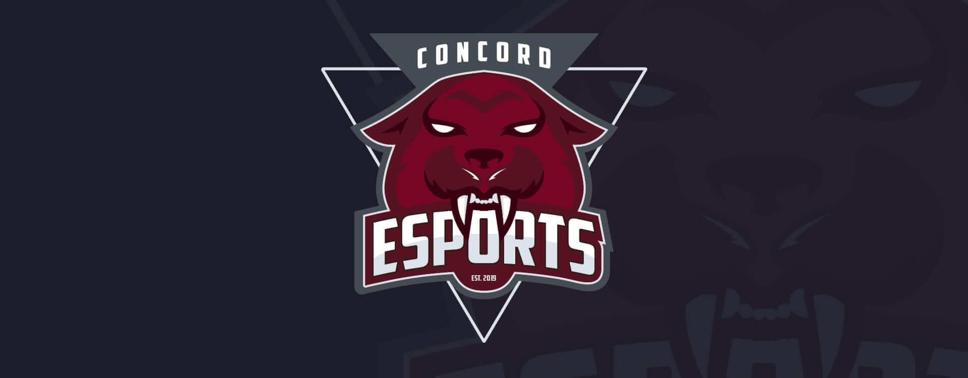 Click here to learn more about our Concord University Esports Team